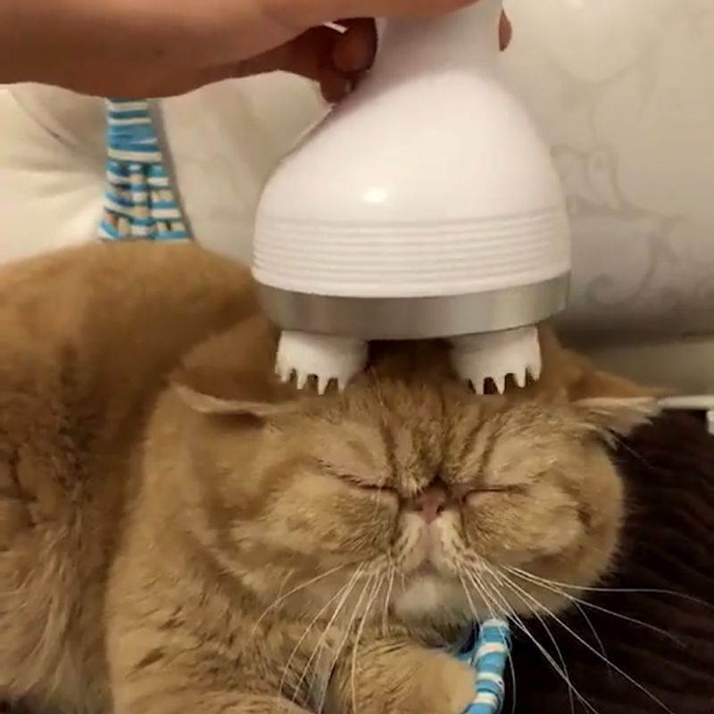 Masajeador eléctrico recargable para gatos