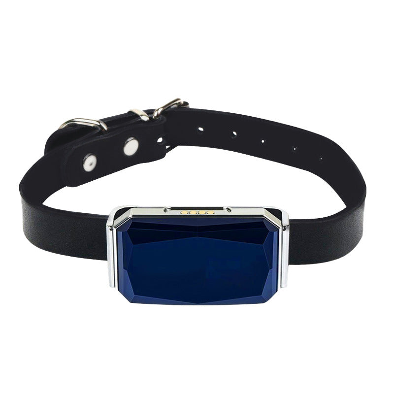 Localizador GPS para perros y gatos con collar