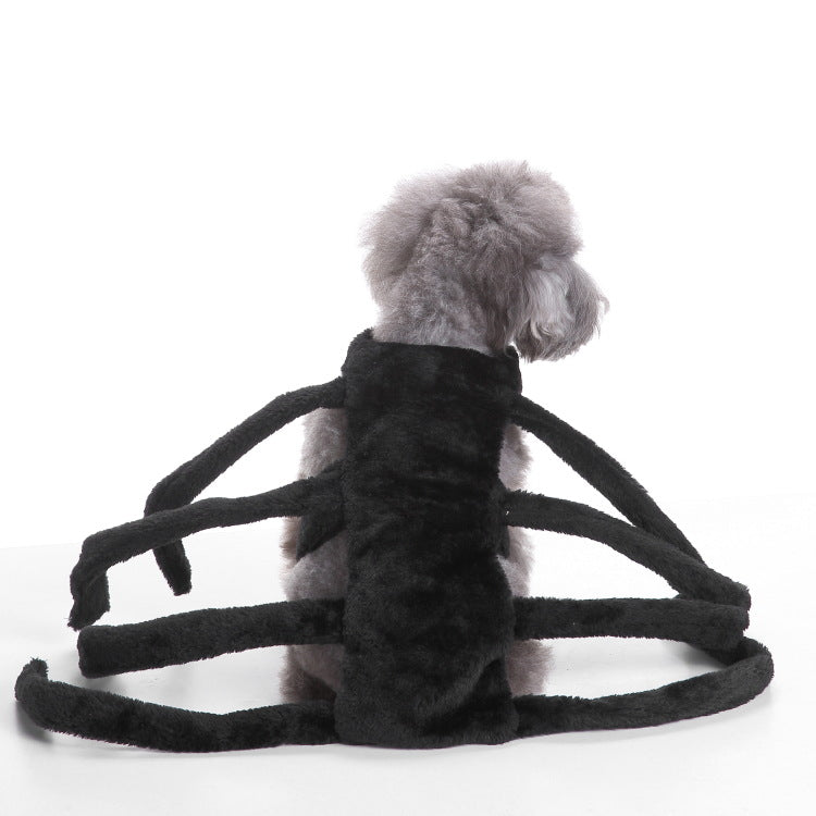 Disfraz de Halloween para perros y gatos – Disfraz de araña