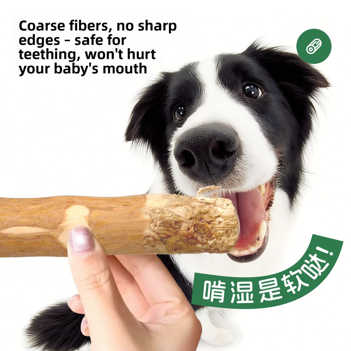 Mordedor de madera natural de café para la salud dental de perros