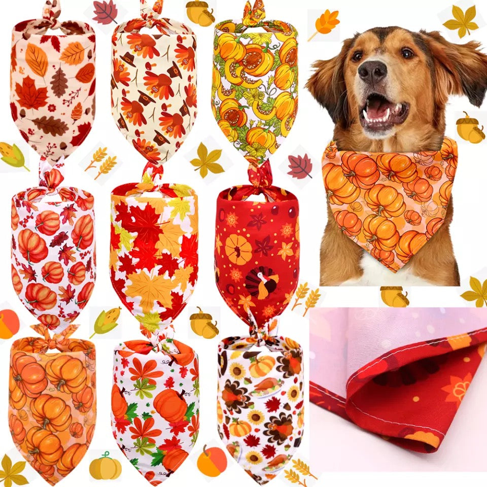 Bandanas de otoño y Halloween para perros y gatos