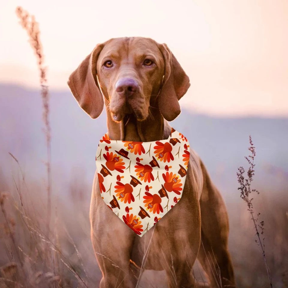 Bandanas de otoño y Halloween para perros y gatos