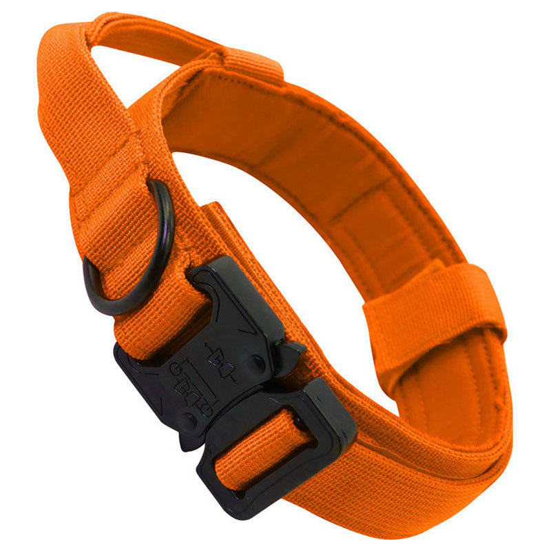 Collar y correa táctica para perros – Naranja reflectante