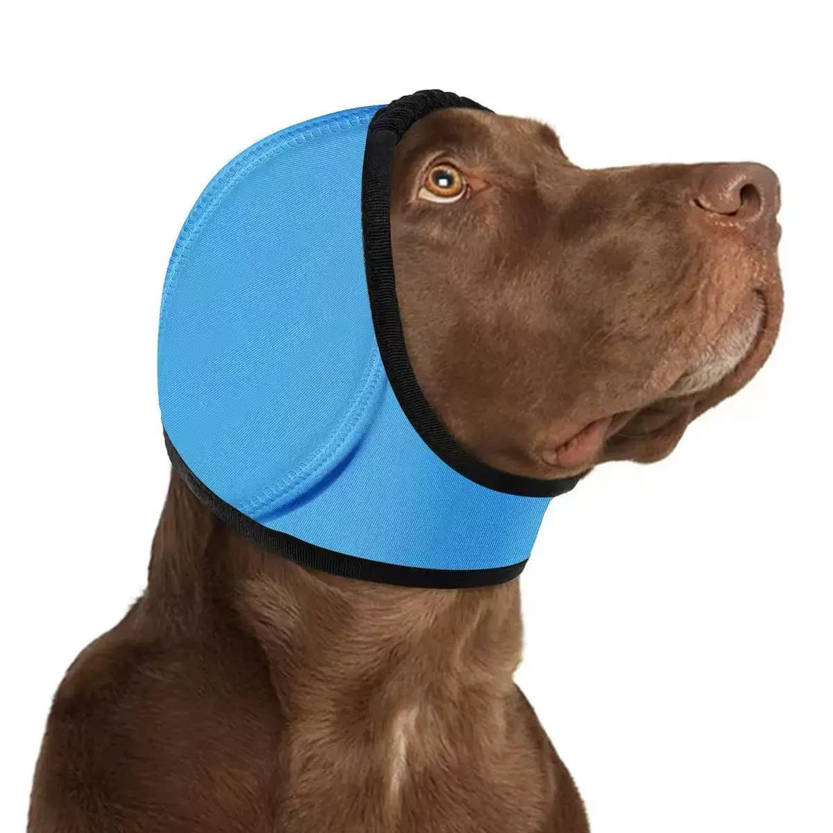 Orejeras antirruido para perros para tormentas y petardos – Azul celeste
