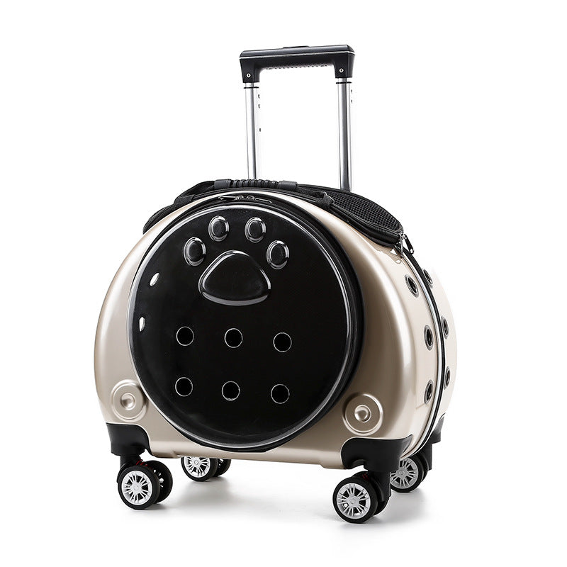 Transportín mochila transparente con ruedas para perros y gatos