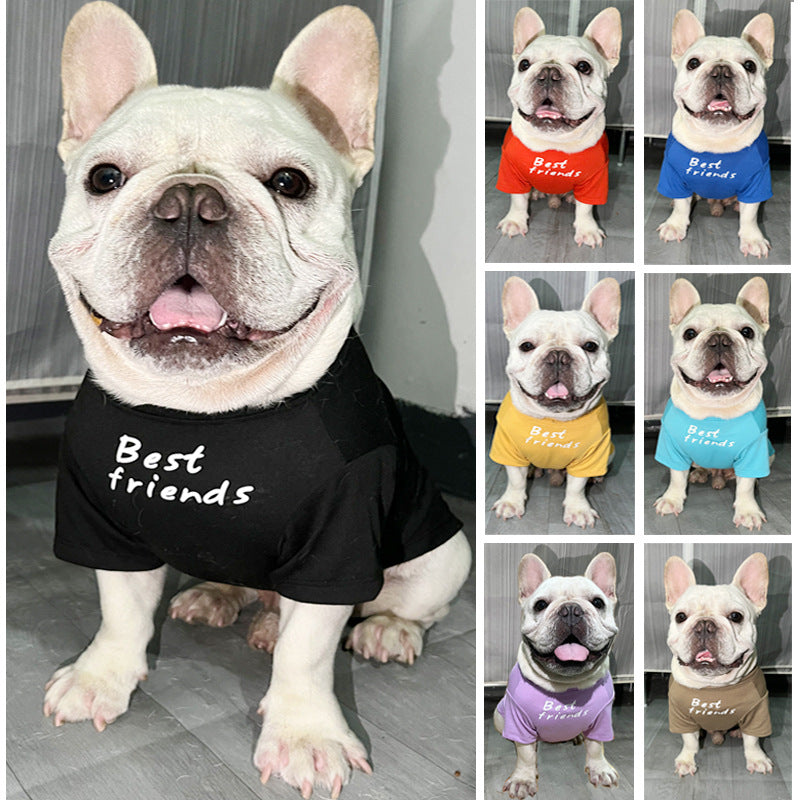Camiseta de Cuello Redondo para Perros y Gatos, foto 2 de 10