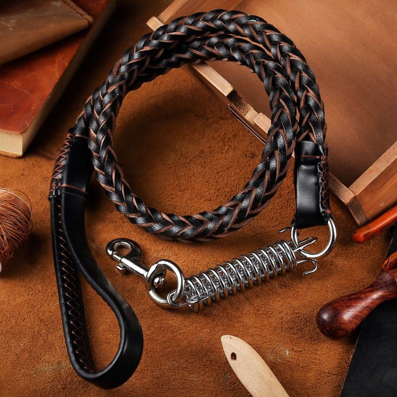 Collar y correa de cuero para perros medianos y grandes