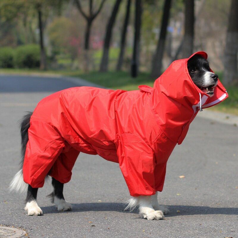 Chubasquero impermeable de cuatro patas con capucha para perros
