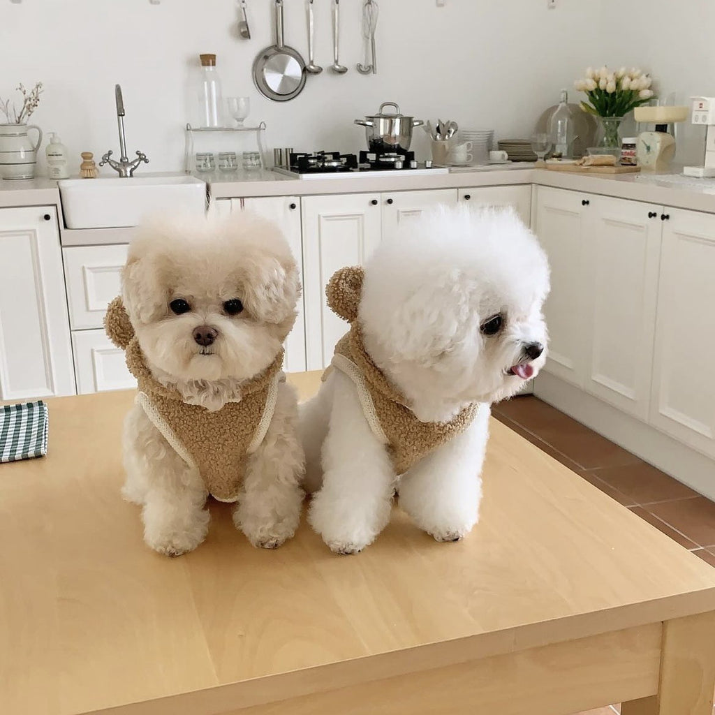 Capa cálida de invierno para perros y gatos