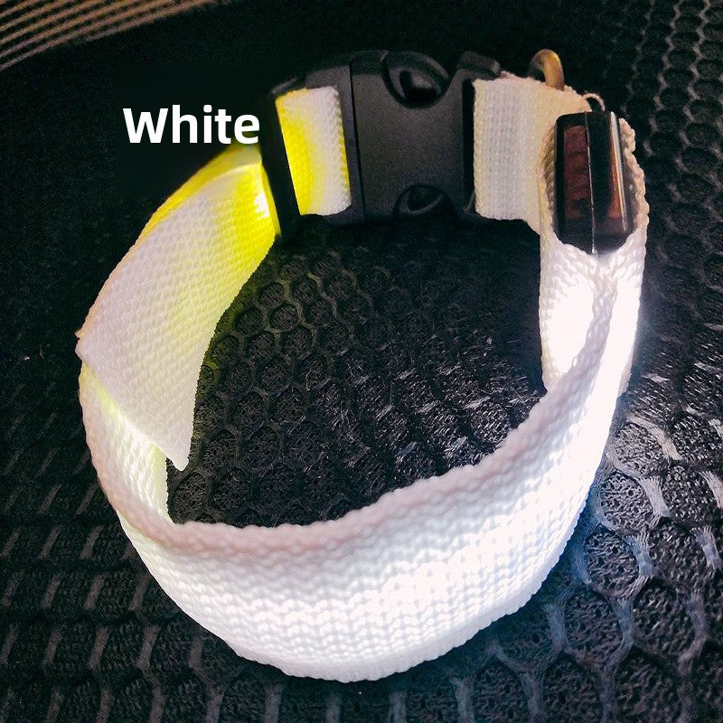 Collar LED recargable USB para perros