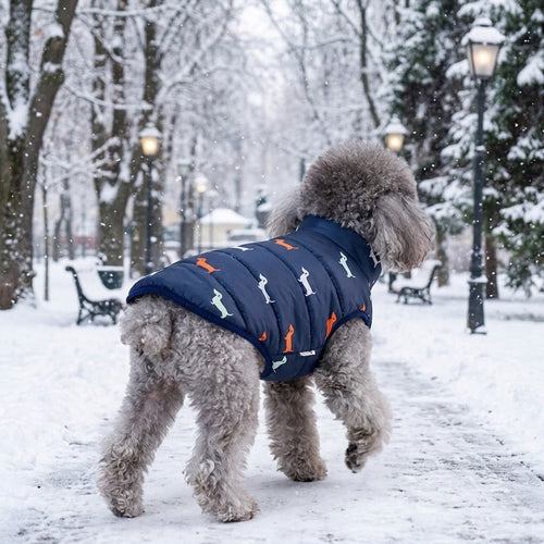 Perro con abrigo acolchado de invierno paseando bajo la nieve