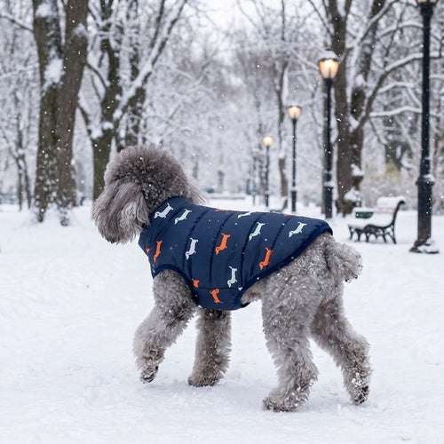 Abrigo acolchado de invierno con cuello alto puesto en caniche en parque nevado