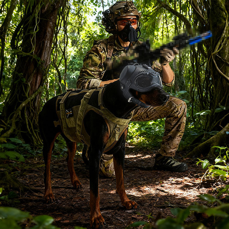 Casco táctico para perros con gafas, foto 5 de 8