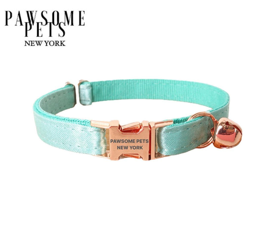 Collar verde menta para gato y perro pequeño - Pawsome Pets New York