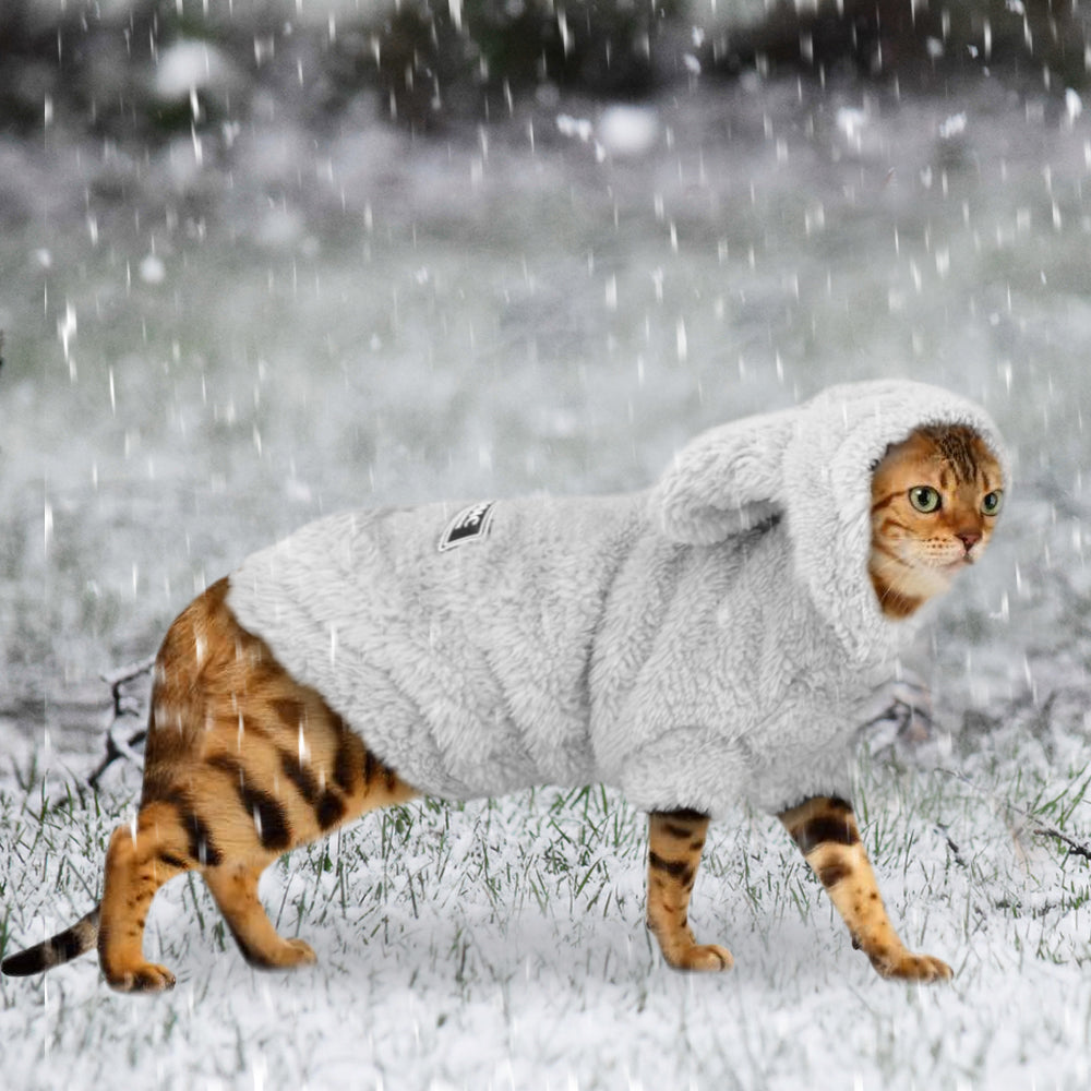 Abrigo de invierno para perros y gatos