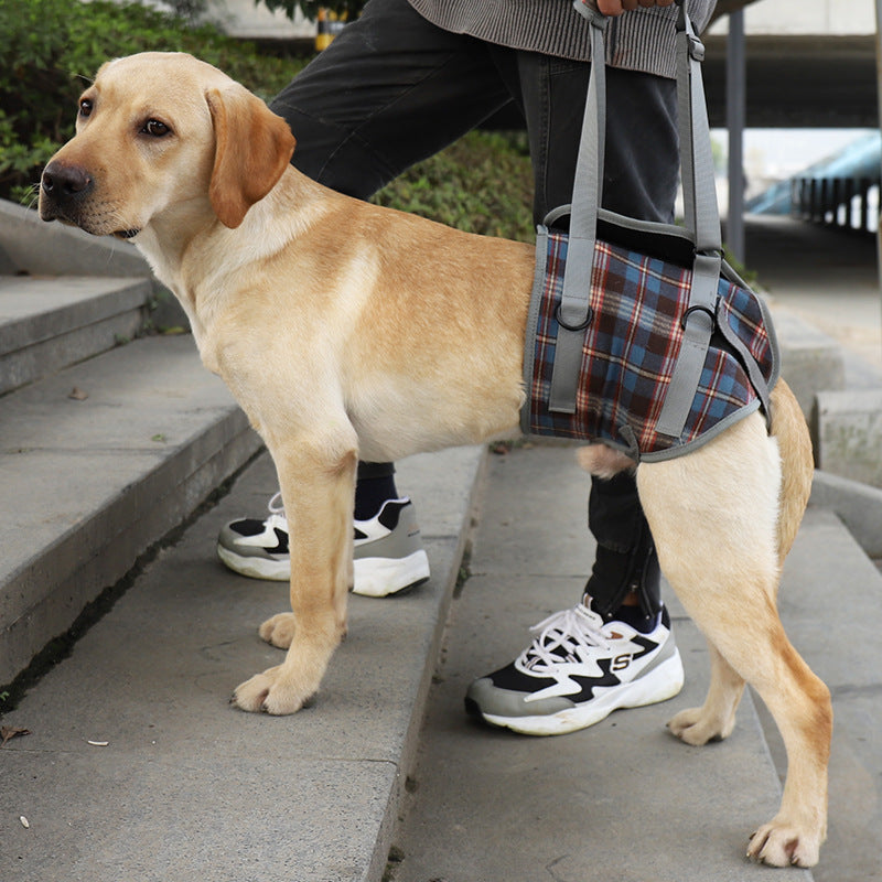 Arnés de apoyo para perros mayores y en recuperación