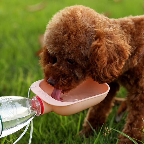 Bebedero portátil con botella para perros y gatos, foto 2 de 11