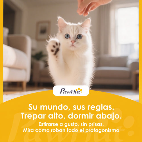 Arenero autolimpiable automático para gatos con sensores