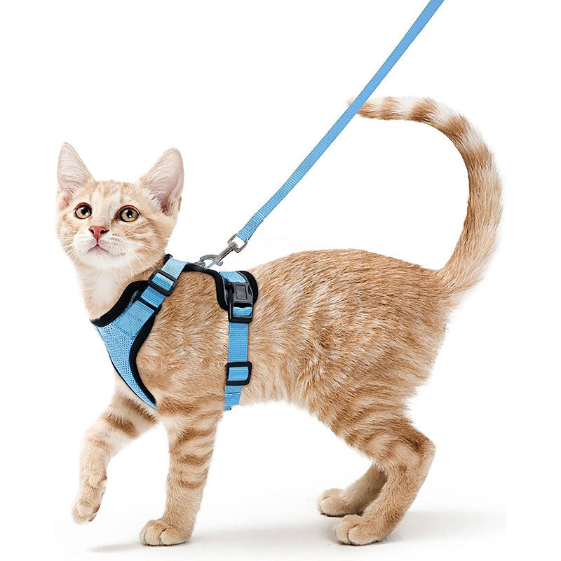 Arnés y correa ajustable antiescape para gatos – Azul celeste