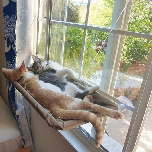 Hamaca de ventana para gatos con ventosas