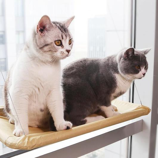 Hamaca de ventana para gatos con ventosas