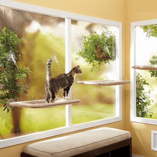 Hamaca de ventana para gatos con ventosas