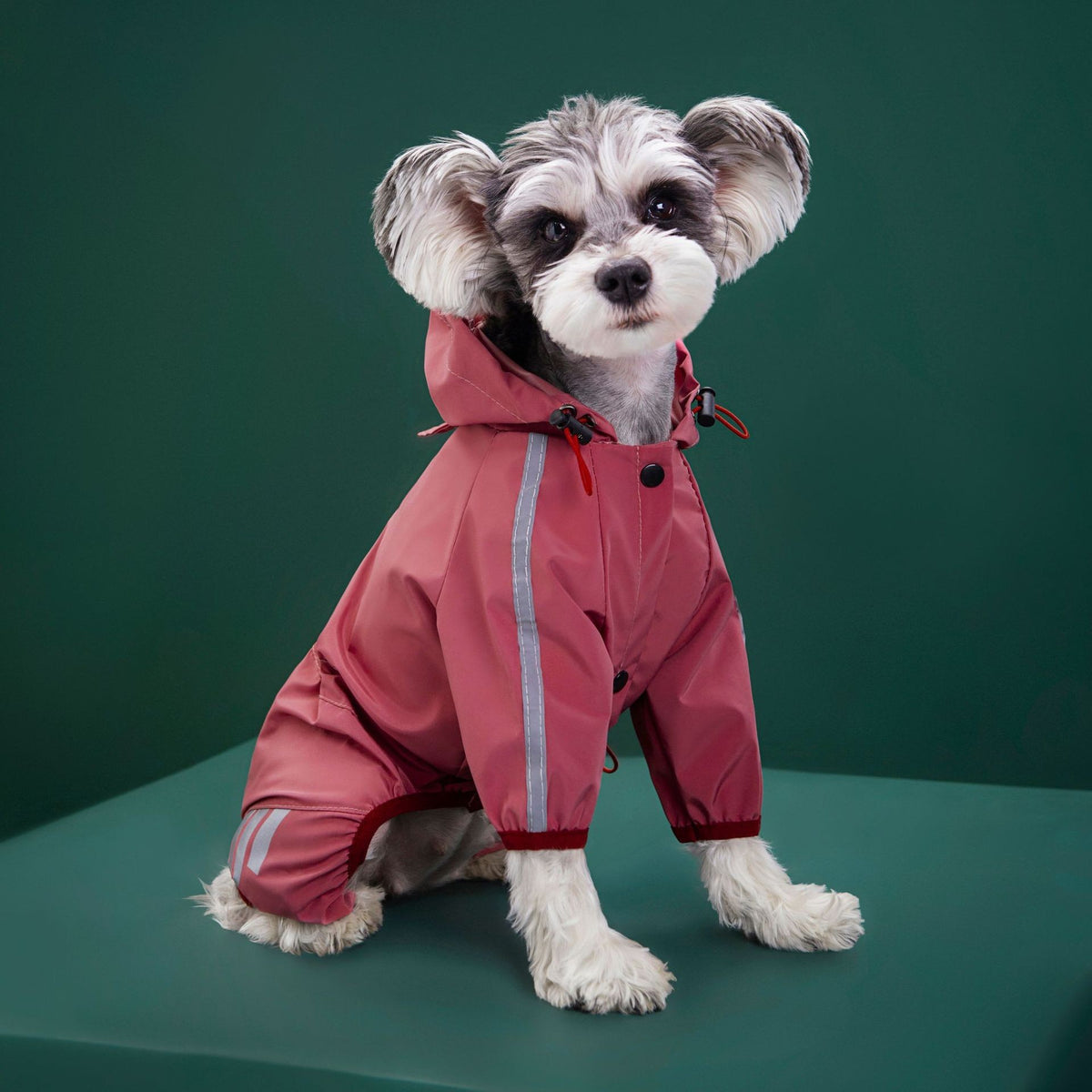 Chubasquero con capucha y tiras reflectantes para perros