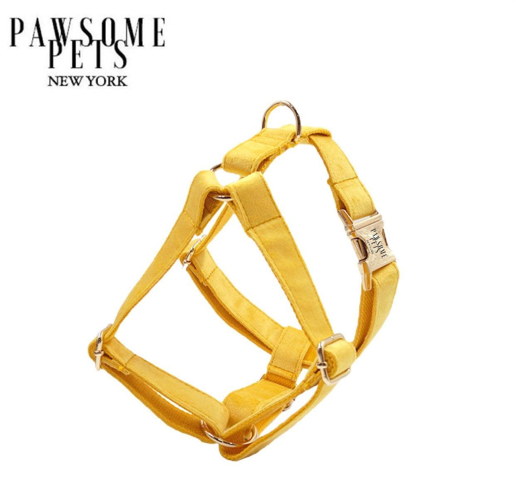 Arnés de paso fácil Pawsome Pets New York amarillo oscuro