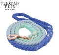 Correa de cuerda Pawsome Pets New York azul y menta degradada