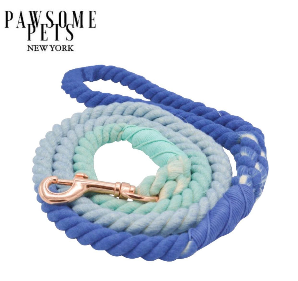Correa de cuerda Pawsome Pets New York azul y menta degradada
