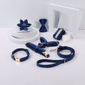 Set de paseo Pawsome Pets New York azul real con arnés (6 piezas)
