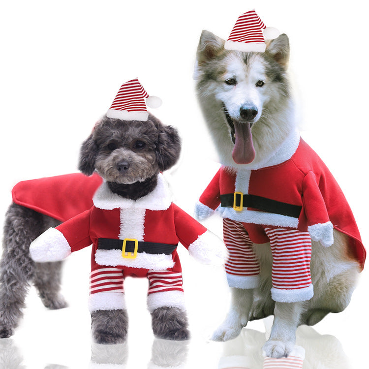 Ropa de Navidad para perros y gatos: disfraces, jerséis y capas