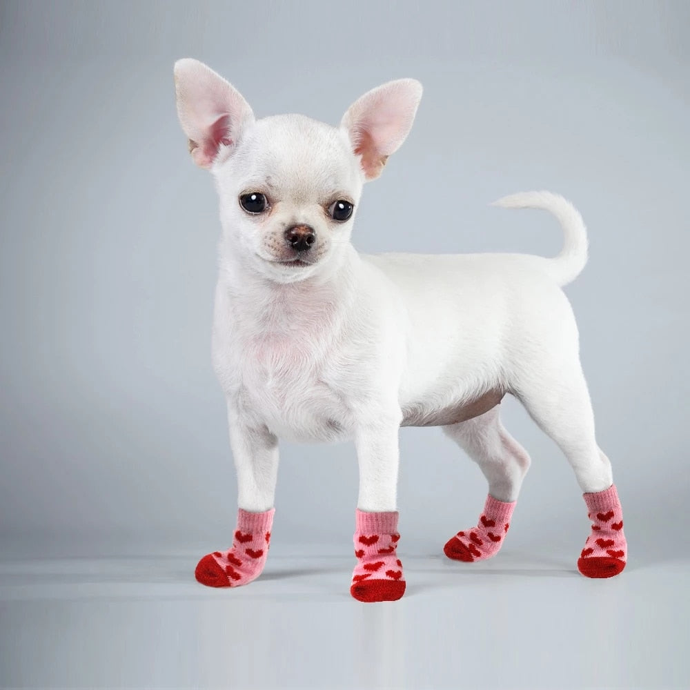 Pack paseo de invierno: abrigo acolchado con capucha + calcetines antideslizantes