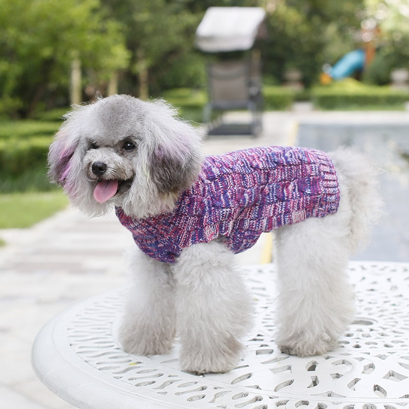 Jersey de punto de cuello alto para perros pequeños y gatos