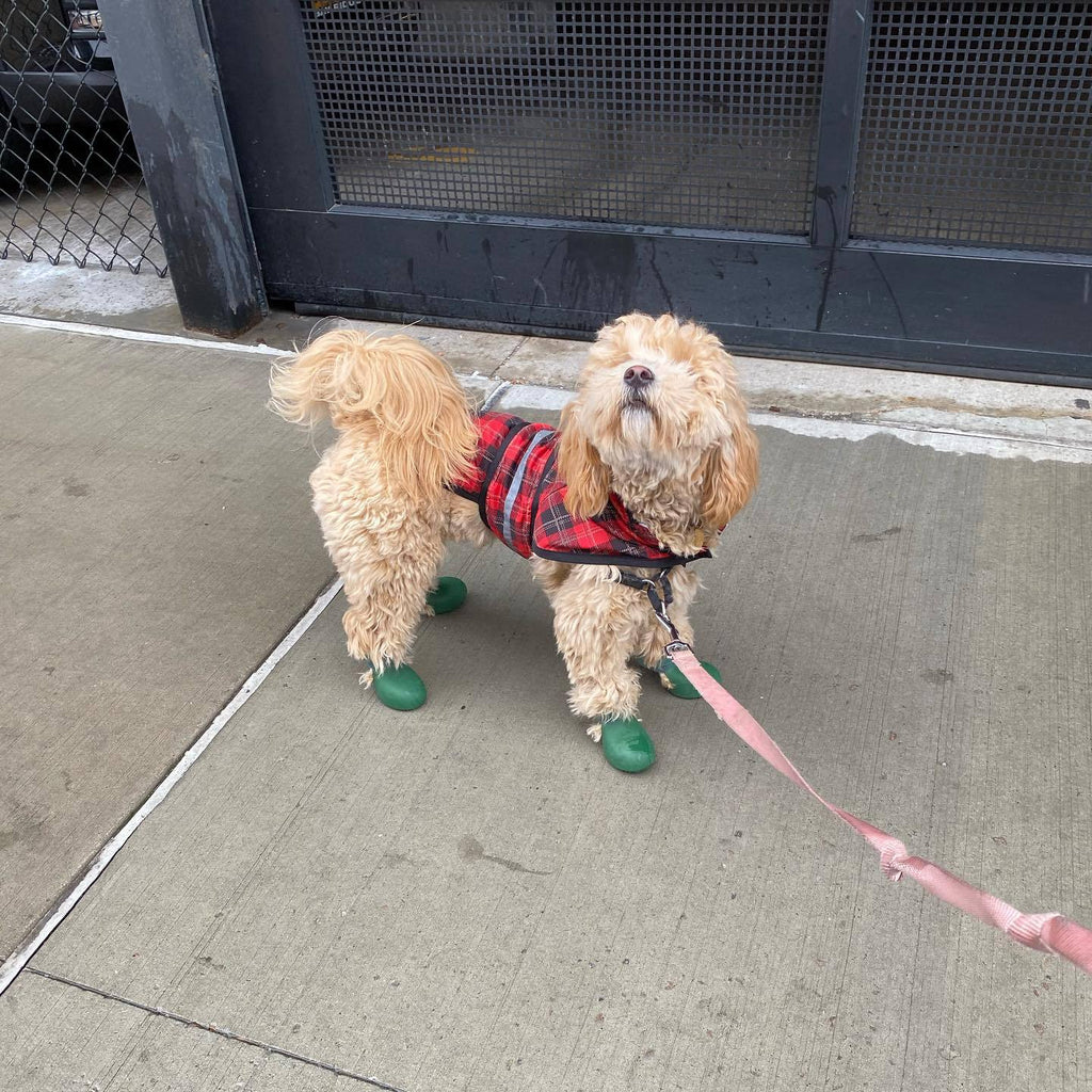Botas de lluvia de silicona antideslizantes para perros