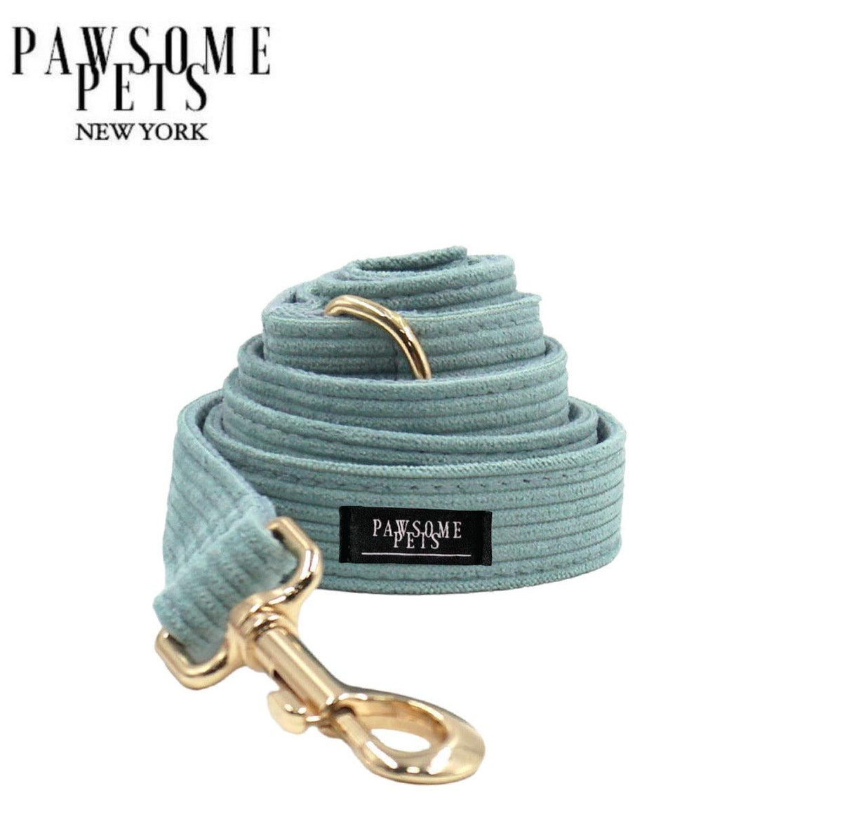 Correa Pawsome Pets New York en verde marino