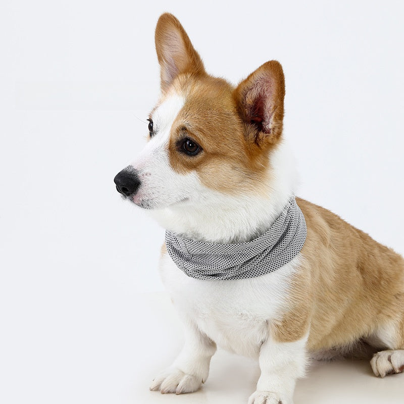 Bufanda refrescante para perros y gatos
