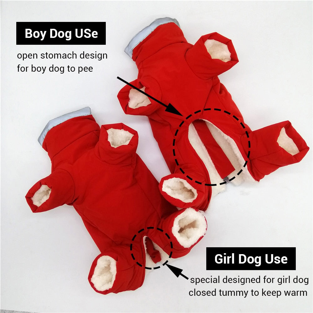 Mono térmico impermeable reflectante para perros pequeños