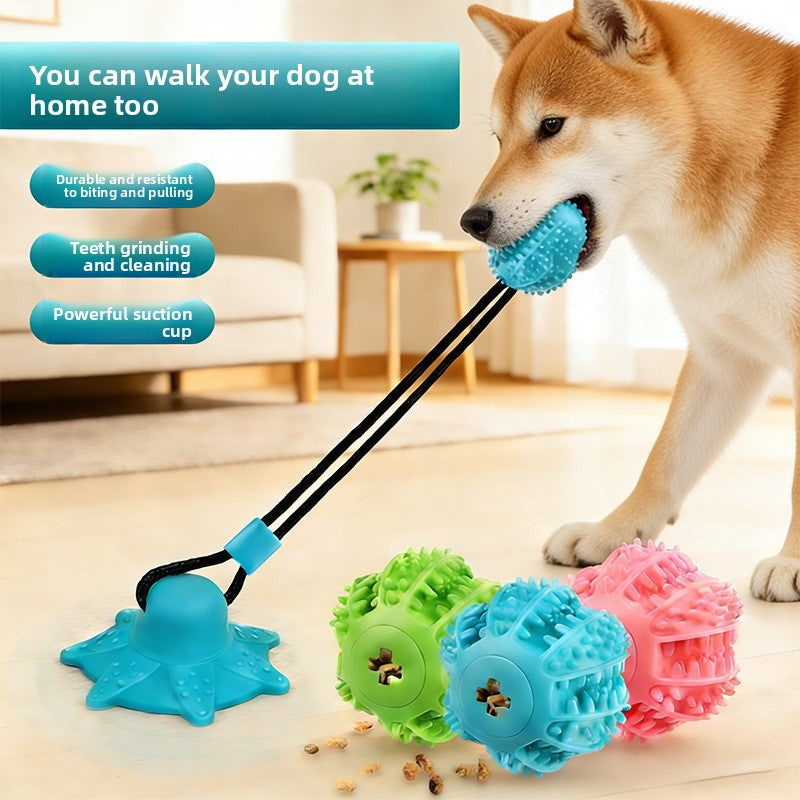 Juguete con ventosa y pelota de premios para la limpieza dental de perros
