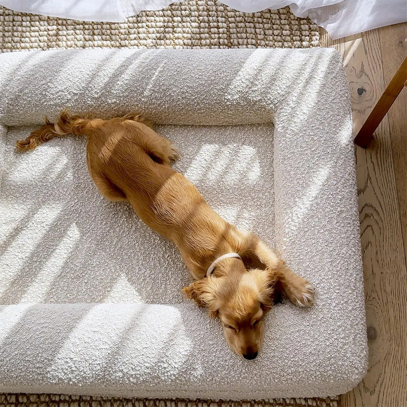 Cama impermeable viscoelástica para perros