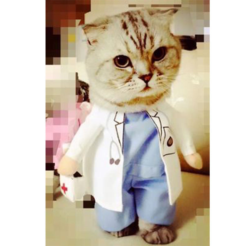 Disfraz divertido para gatos: policía, médico, pirata y más