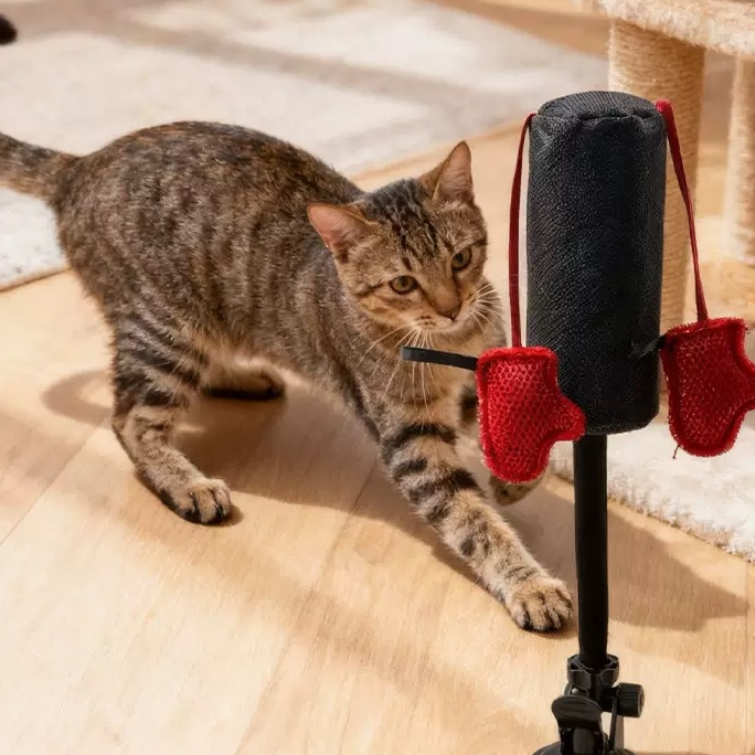 Juguete interactivo con muelle para gatos