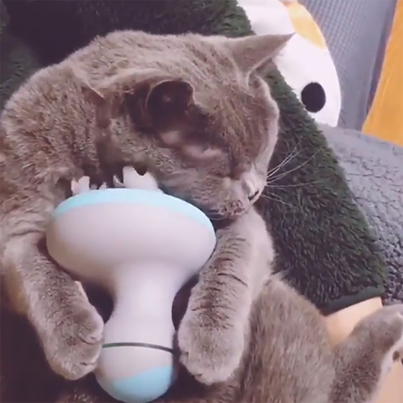Masajeador eléctrico recargable para gatos