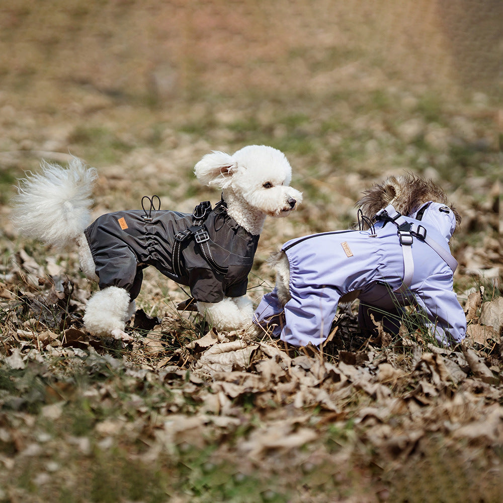 Chubasquero impermeable con capucha para perros pequeños y medianos