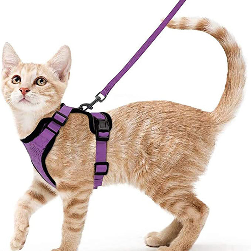 Arnés y correa ajustable antiescape para gatos en color morado