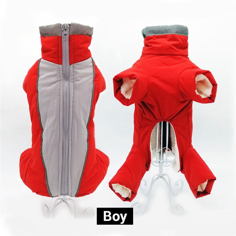 Mono térmico impermeable reflectante para perros pequeños