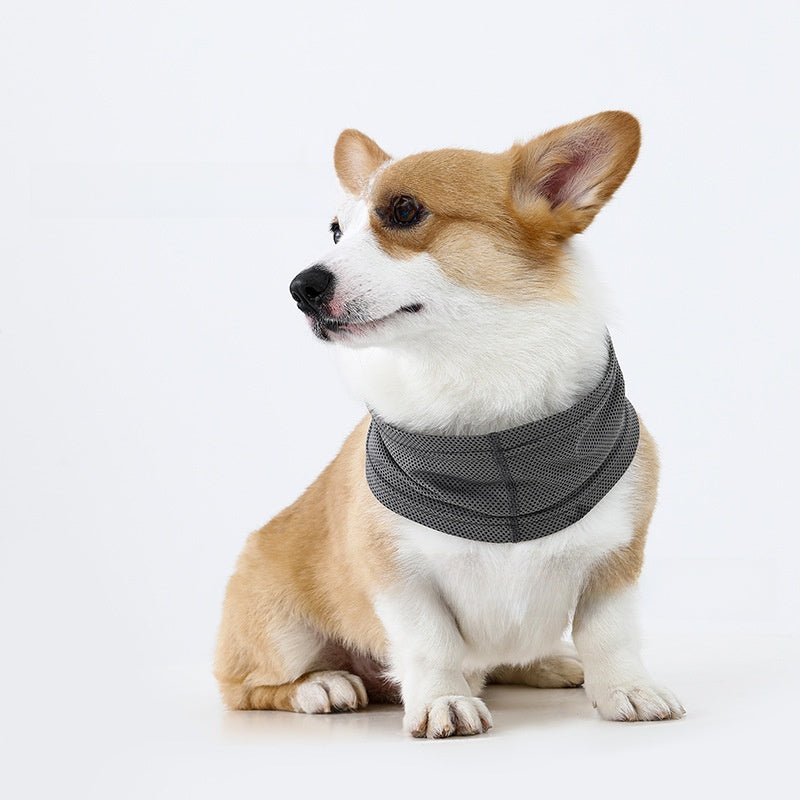 Bufanda refrescante para perros y gatos