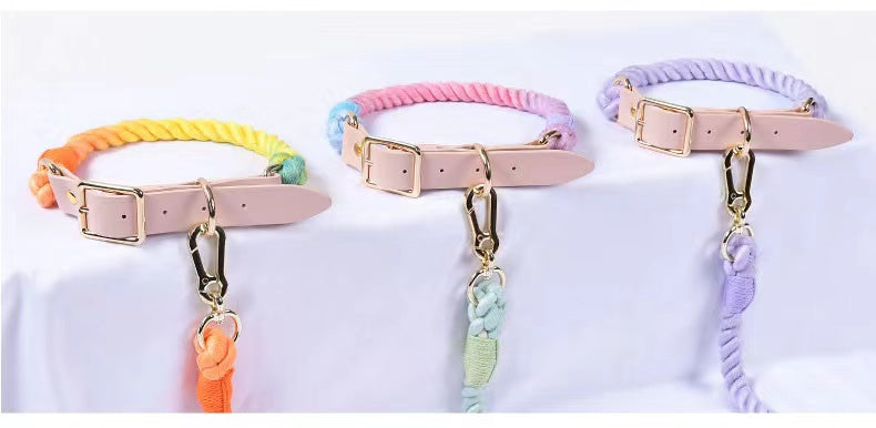Correa manos libres y collar de cuero arcoíris Pawsome Pets New York