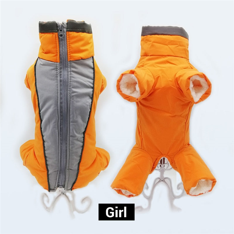 Mono térmico impermeable reflectante para perros pequeños