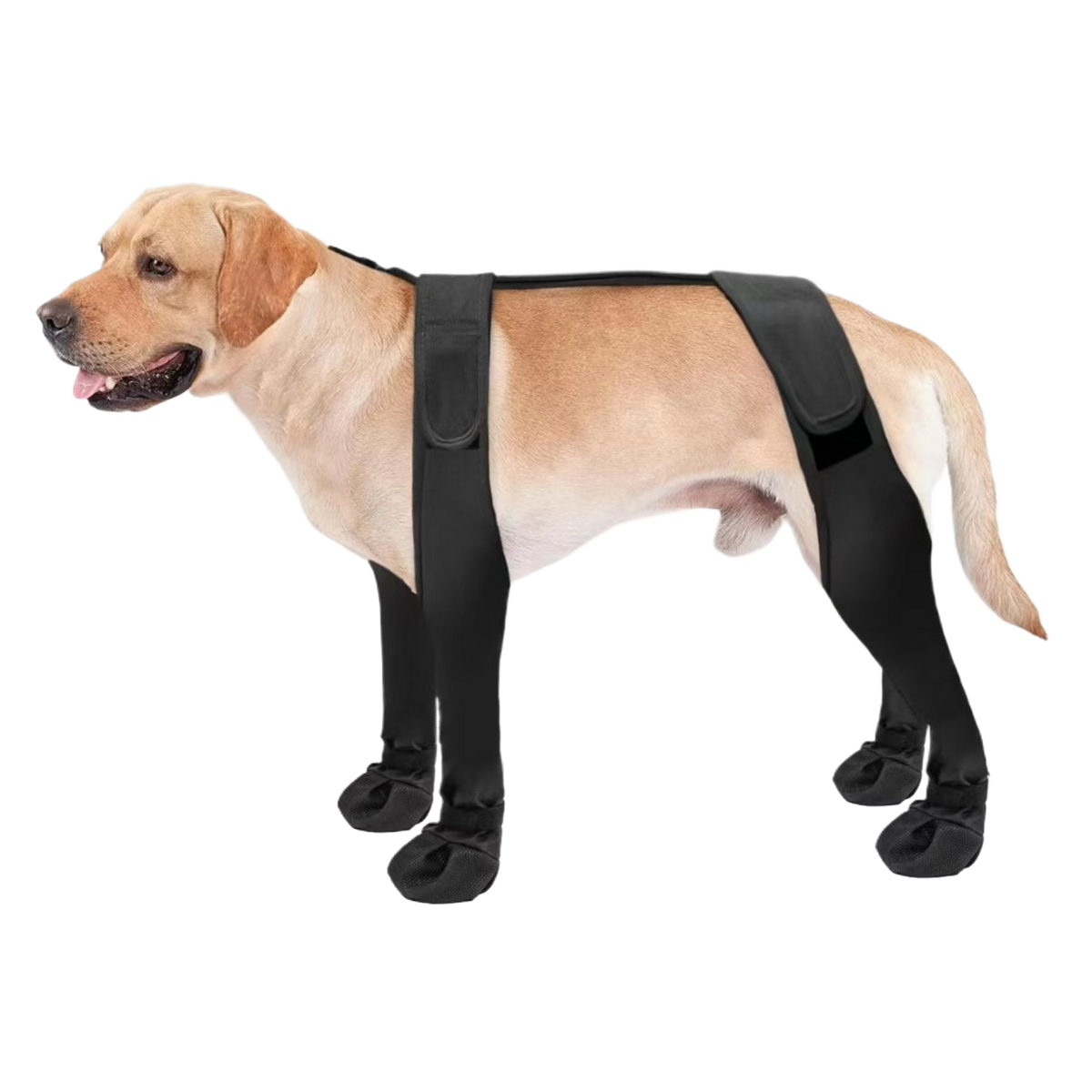 Botas impermeables antideslizantes para perros
